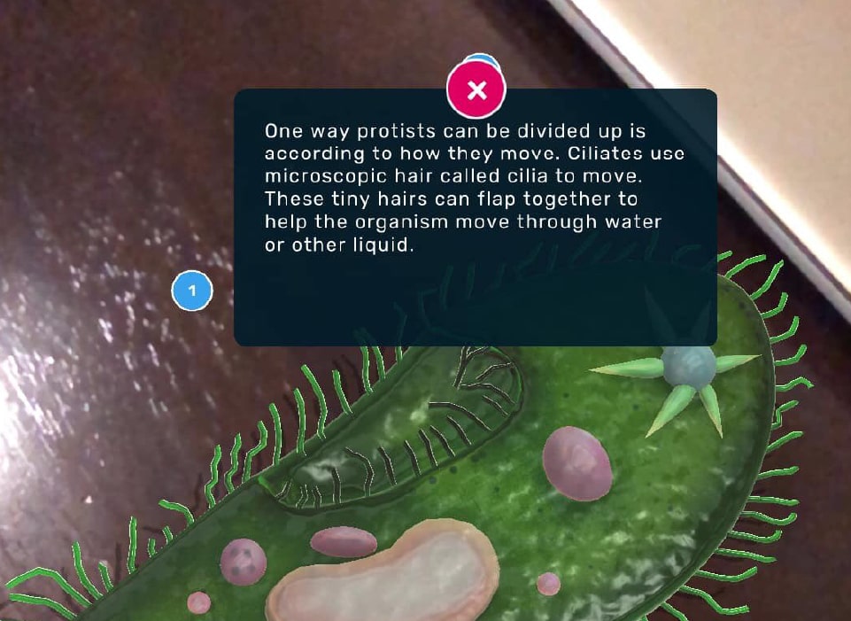 In the classroom with Assemblr EDU 