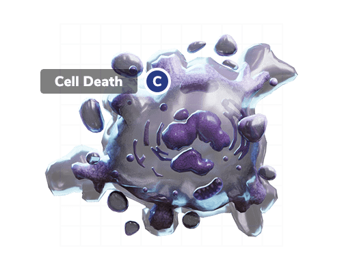 Make the abstract concrete with assemblr edu